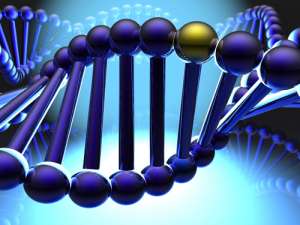 日媒：中国科研人员首次将基因组编辑应用于人体