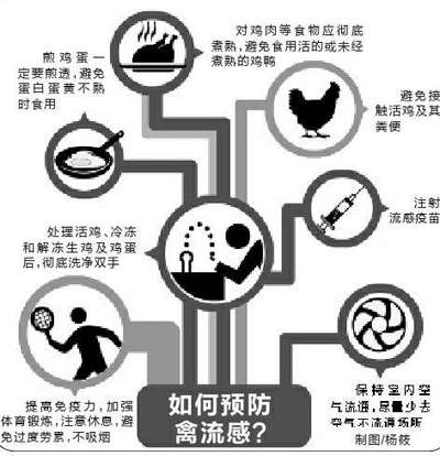 上海H7N9禽流感已造成2人亡 感染来源不明(图)