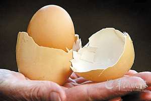 男子买到“蛋中蛋” 专家称或因动物受惊吓所致