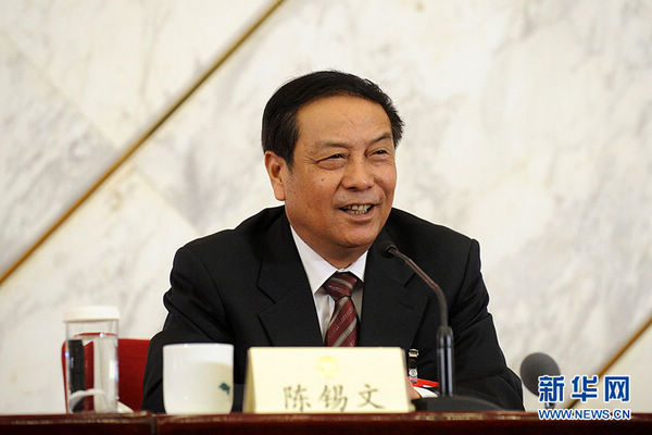 全国政协常委、中央农村工作领导小组副组长陈锡文