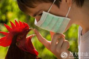 湖南发现一例人感染H5N6病例 专家称不会发生流行