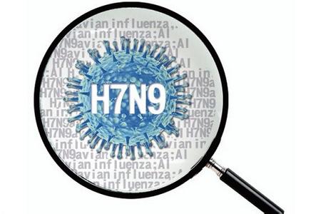 云南确诊H7N9病例：一女童回江西过年发病，一周后死亡