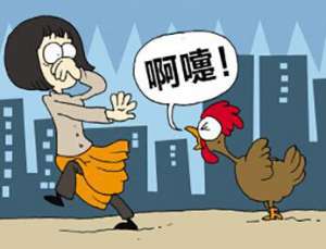 北京新增一例人感染H7N9病例