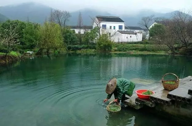 人均只要三百多，就可以去苏南的小山村泡温泉做鱼疗住一宿