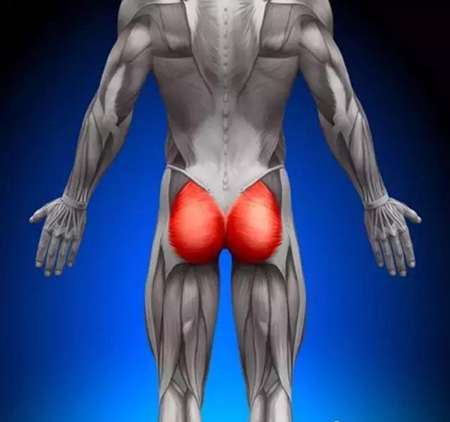 哪3个技巧帮助你全方位提升腿部肌肉？